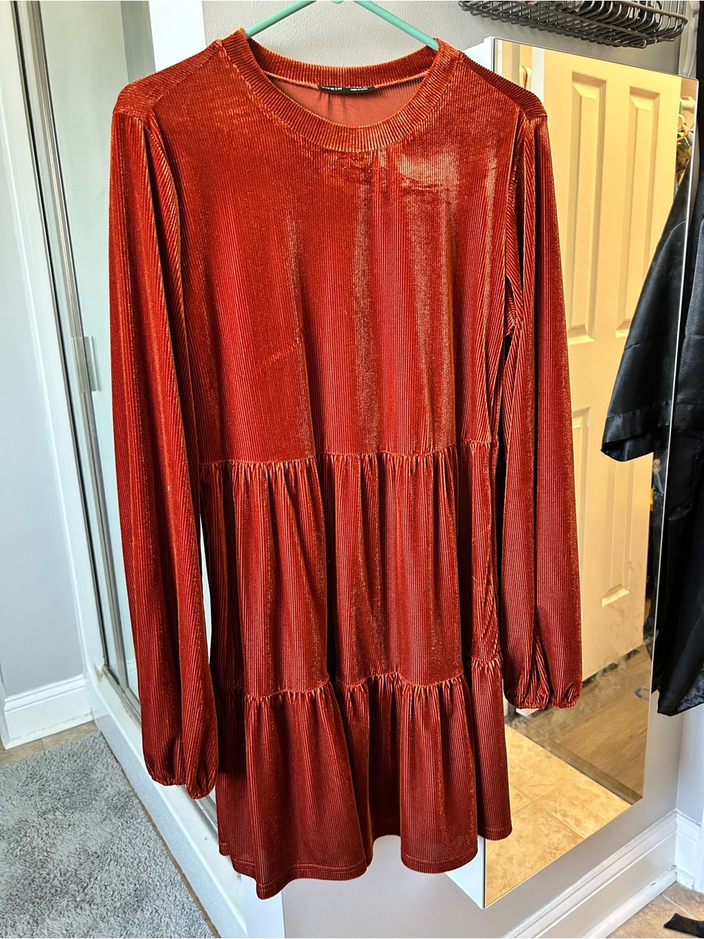 SHEIN Rust Velvet Crewneck Top